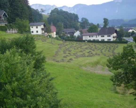 Bauernhof Kasleitner Villa Zell am Moos Kültér fotó
