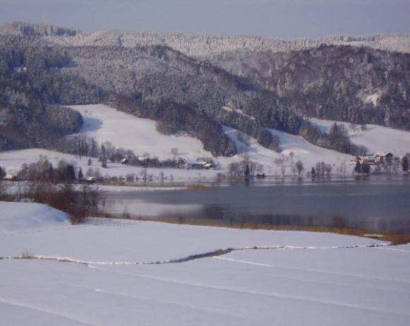 Bauernhof Kasleitner Villa Zell am Moos Kültér fotó