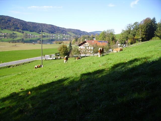 Bauernhof Kasleitner Villa Zell am Moos Kültér fotó